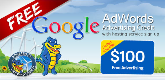 14. Try Google Adwords